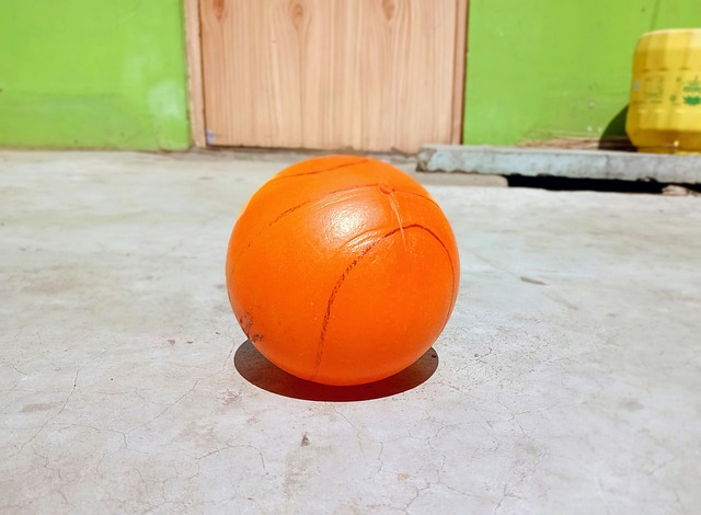 了自己的投 了自己的投