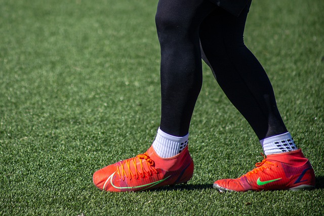 在引援方向 在引援方向