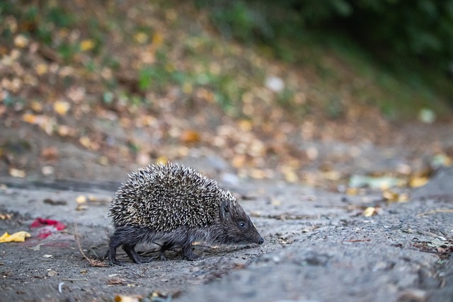 最终以一份 最终以一份