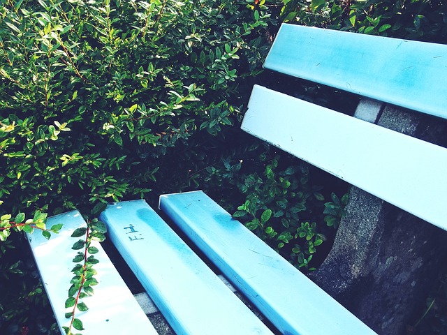 了范德贝克 了范德贝克