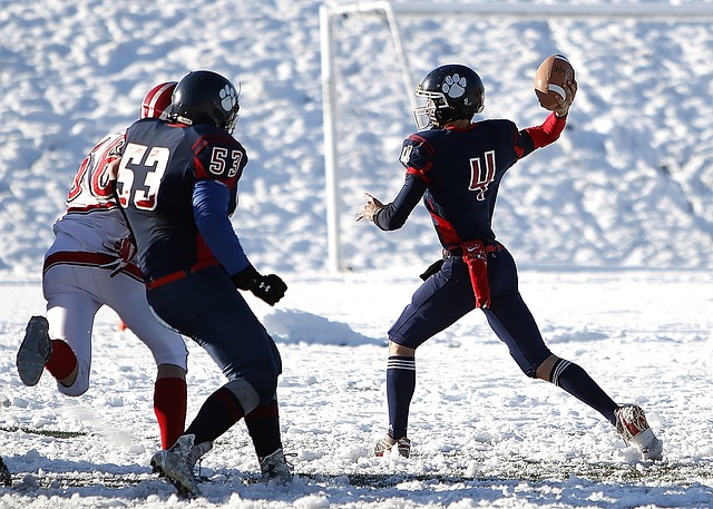 此次斯科西 此次斯科西