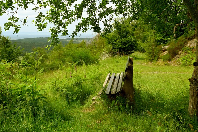 卢则充分展 卢则充分展
