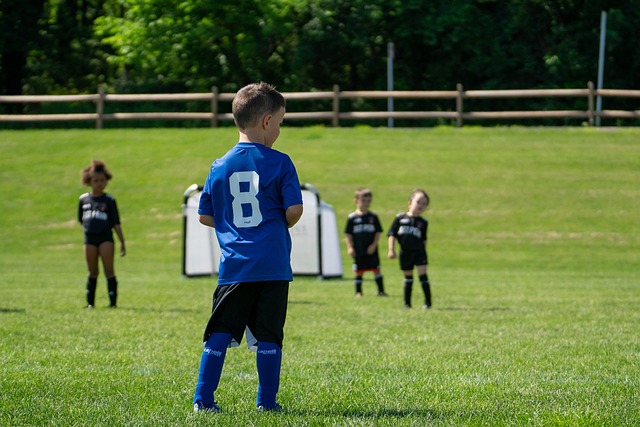 和稳定的比 和稳定的比