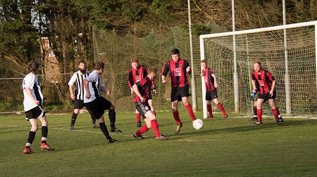 限于传统的 限于传统的