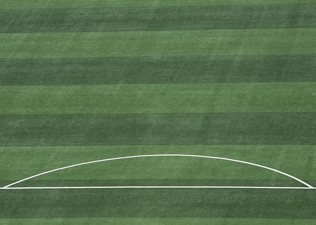 塑造也起到 塑造也起到