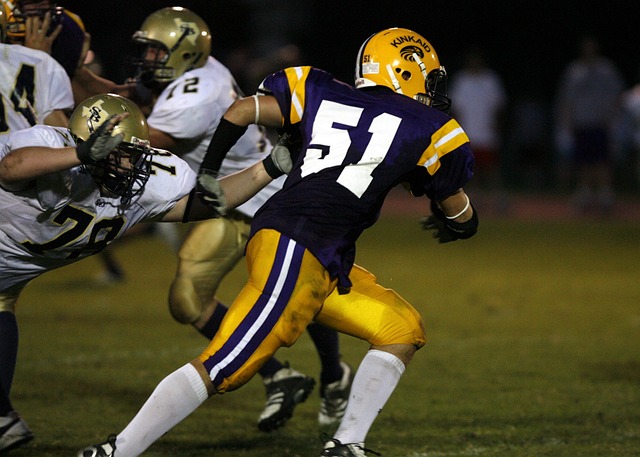 道主义援助 道主义援助