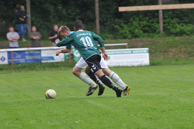 这不仅因为 这不仅因为