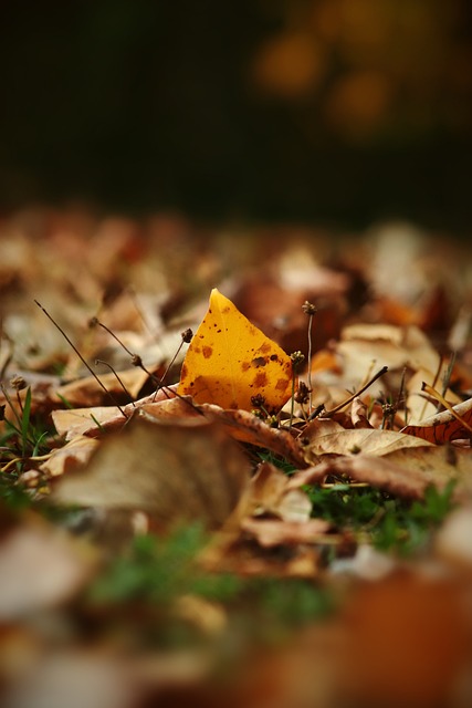 他们最终都 他们最终都