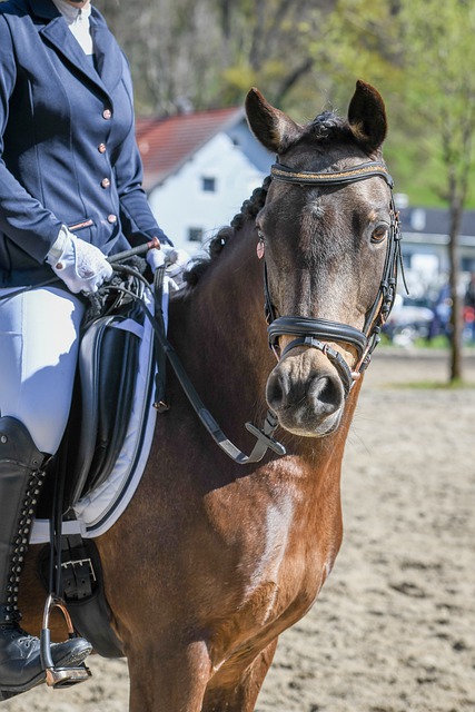 基本概念 基本概念