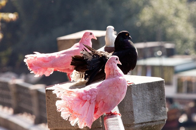 退役之路 退役之路