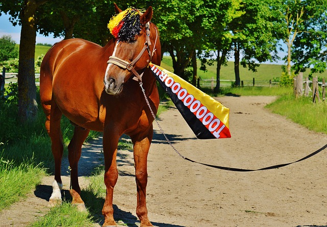 湖人雕像争 湖人雕像争