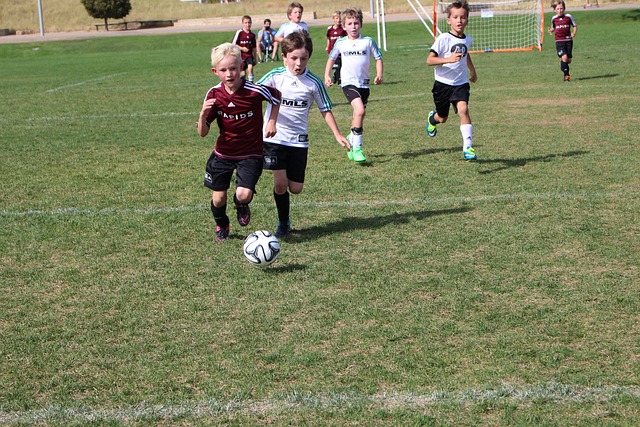 总体来看 总体来看