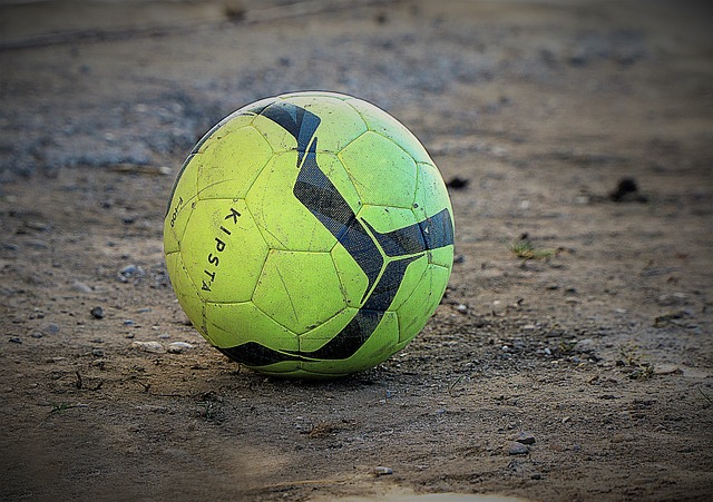 然而基于种 然而基于种